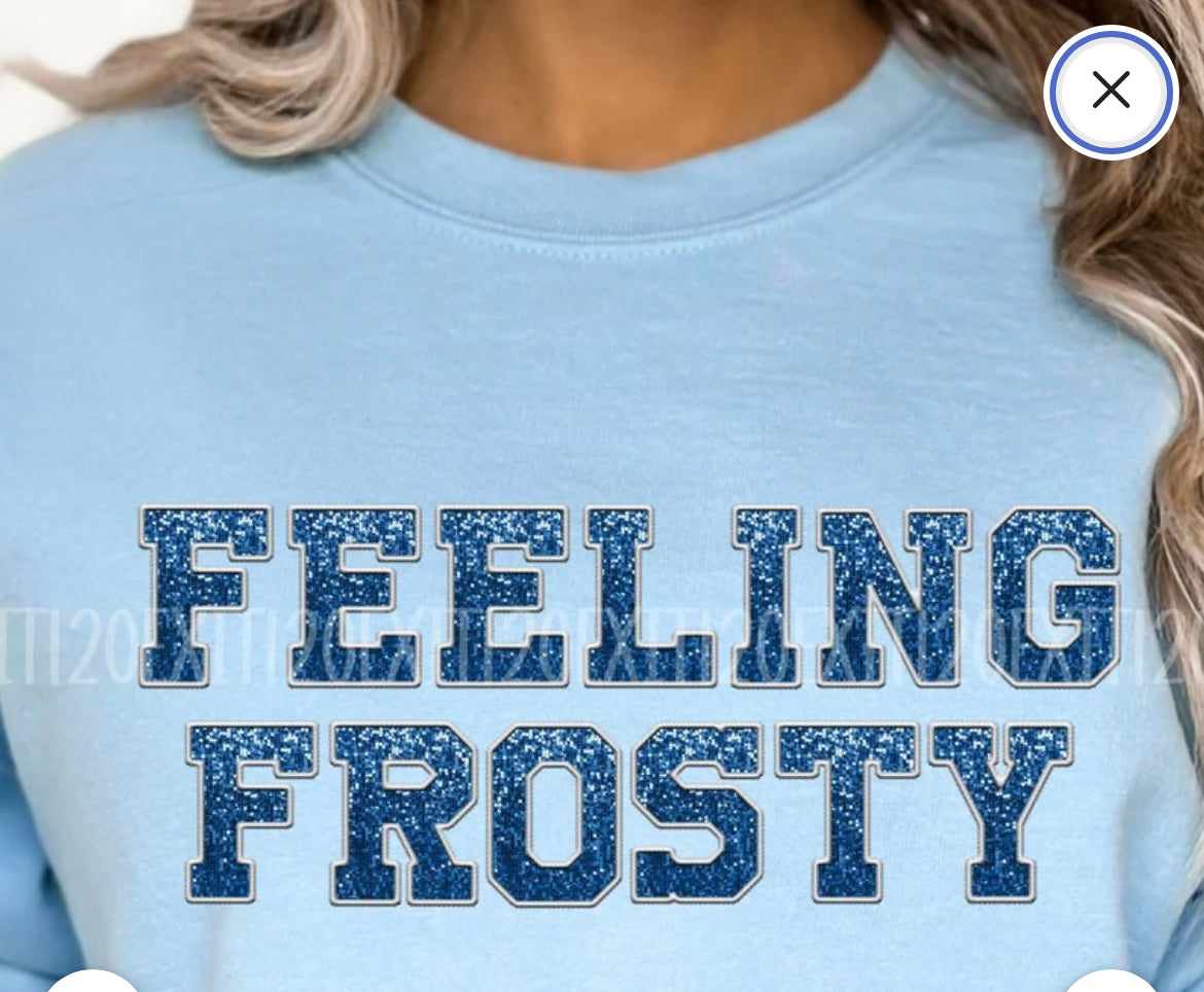 Feeling Frosty Faux Sequin DTF