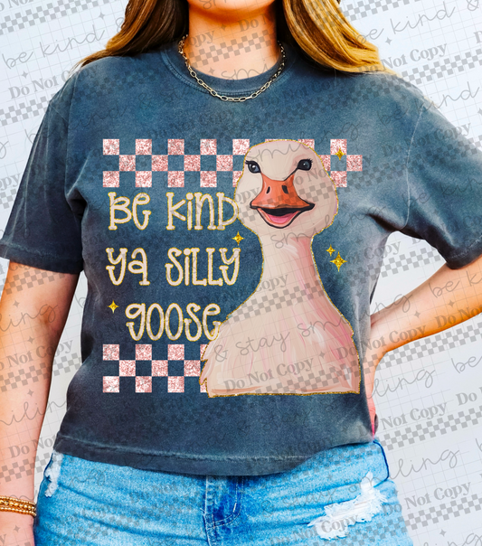 Be kind ya silly goose DTF