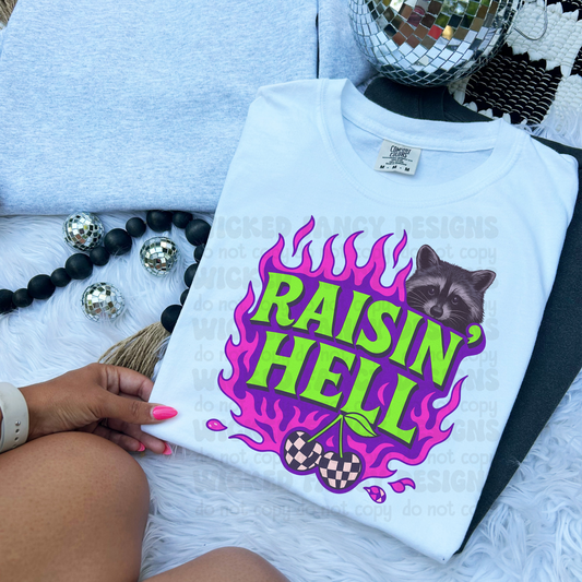 Raisin’ Hell Raccoon DTF