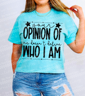 Your opinion of me