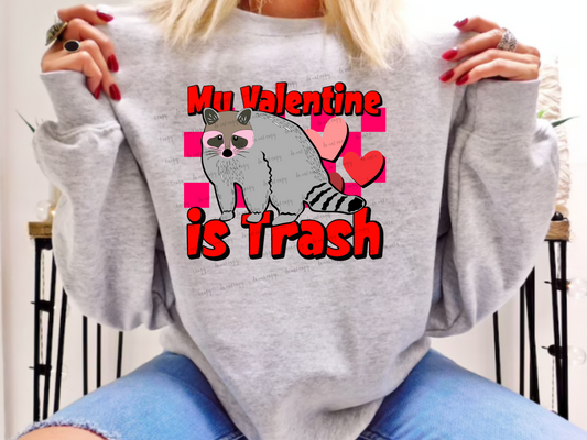 My Valentine Is Trash Racoon DTF